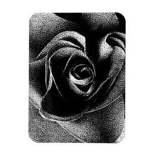 ÍMÃ ROSA DO PRETO
