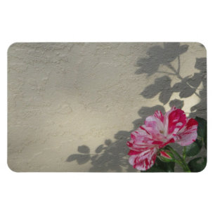 Ímã Rosa e sombra vanguardista