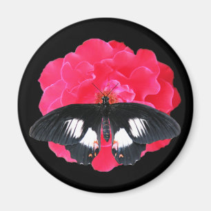 Imã Rosa e Swallowtail