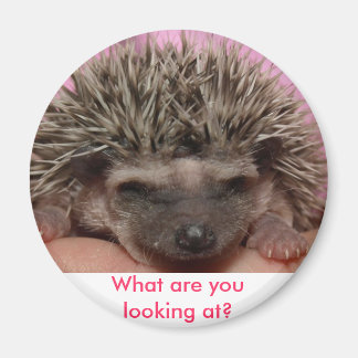 Imã rosa escuro 3, O que você está olhando?