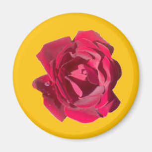 IMÃ ROSA F