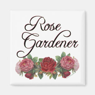 Imã Rosa Gardener Say com Rosas