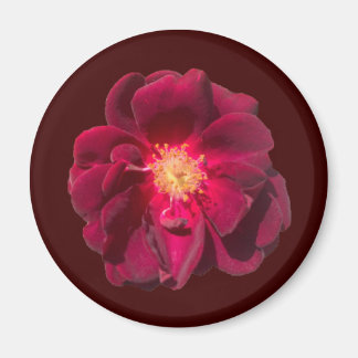 IMÃ ROSA H