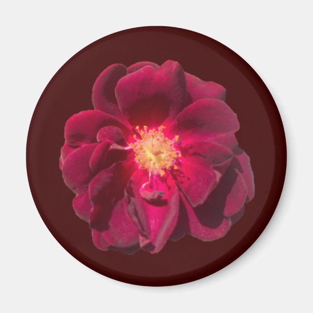 IMÃ ROSA H (Frente)