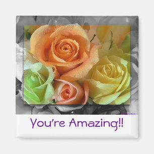 Imã Rosa-Ímã colorido