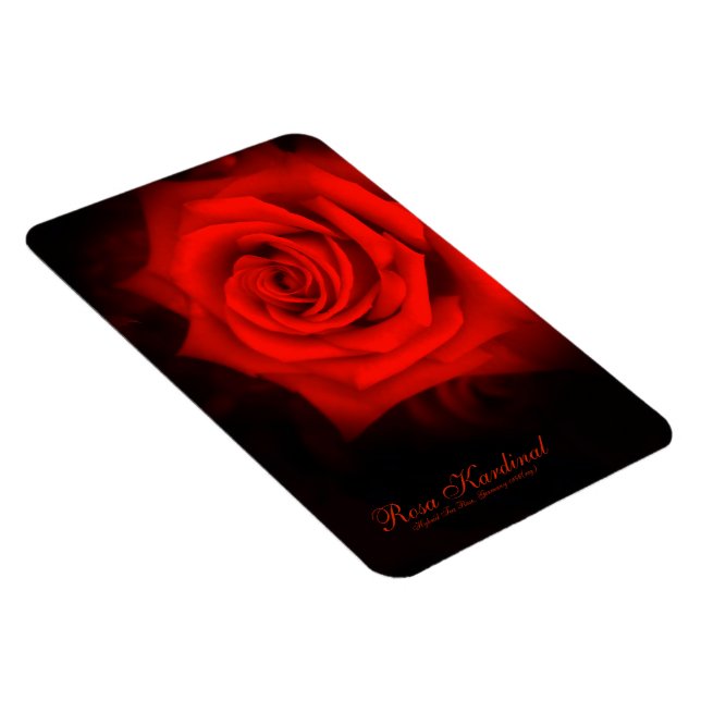 Ímã Rosa Kardinal [Imagem Flex] (Lado Direito)