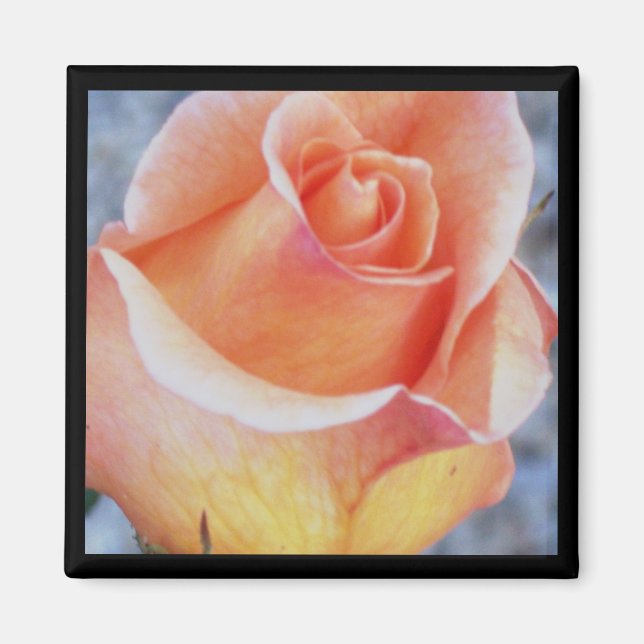 Imã rosa laranja (Frente)