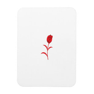 Ímã Rosa Madder, Lava Vermelho, Design floral