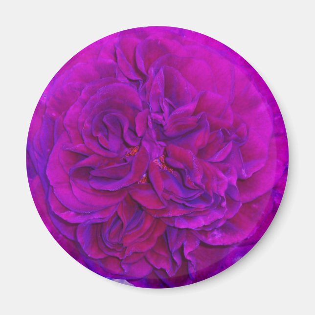 Imã Rosa Magenta Puff (Frente)