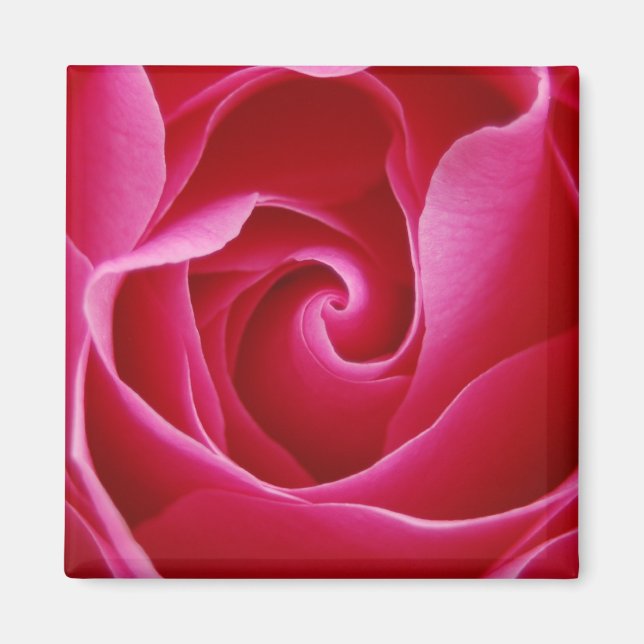 Imã Rosa Magnet (Frente)