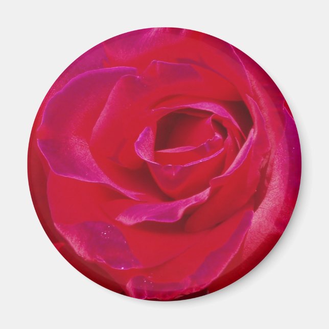 Imã Rosa Magnet (Frente)