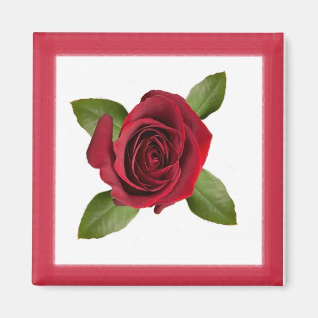 Imã Rosa Magnet (Frente)