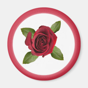 Imã Rosa Magnet