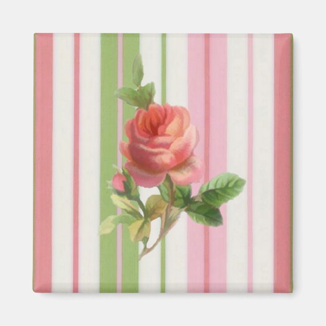 Imã Rosa Magnet (Frente)