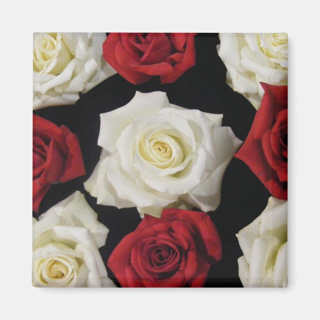 Imã Rosa Magnet (Frente)