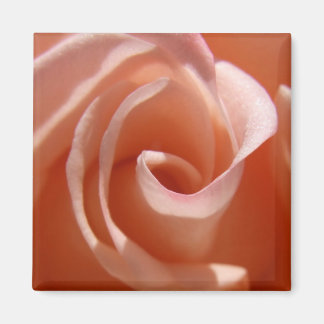 Imã Rosa Magnet