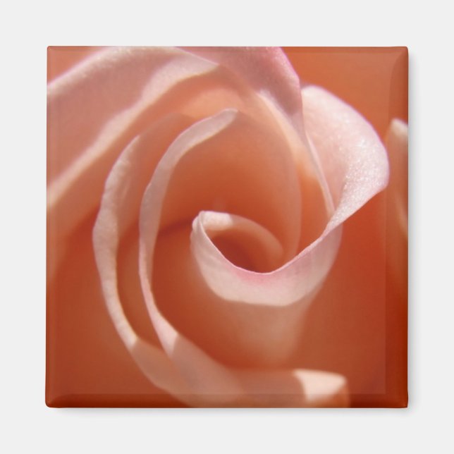 Imã Rosa Magnet (Frente)