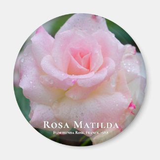 Imã Rosa Matilda