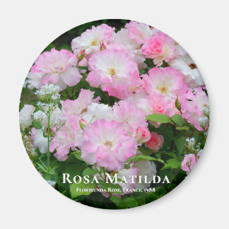 Imã Rosa Matilda ÍMÃ