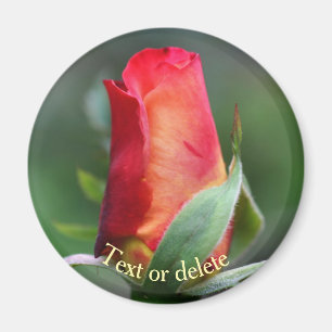 Imã Rosa Pequena Amarela e Vermelha Personalizada