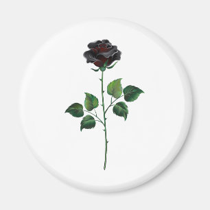 Imã Rosa preto