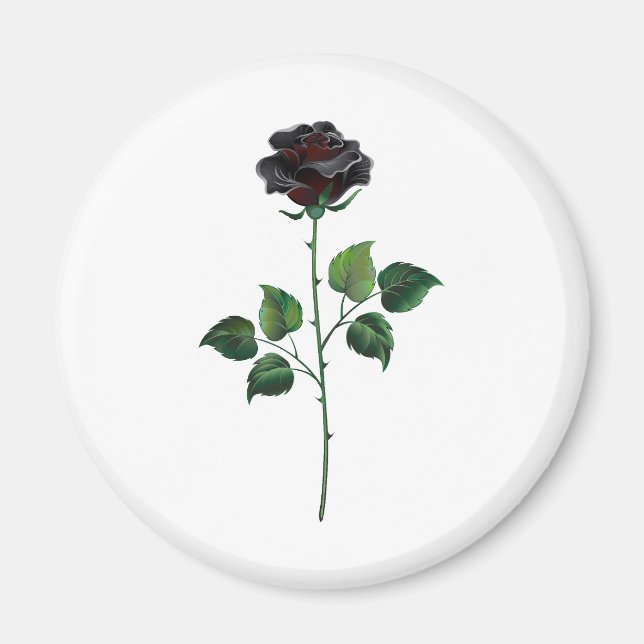 Imã Rosa preto (Frente)