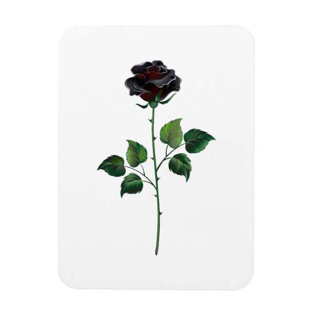 Ímã Rosa preto (Vertical)