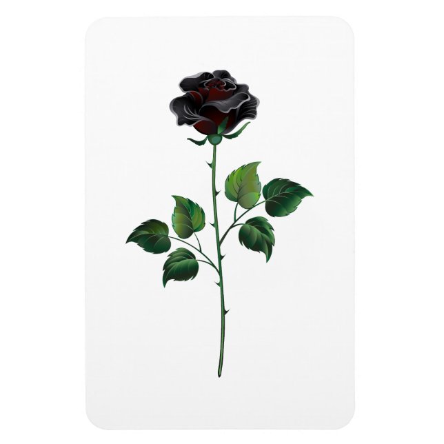 Ímã Rosa preto (Vertical)