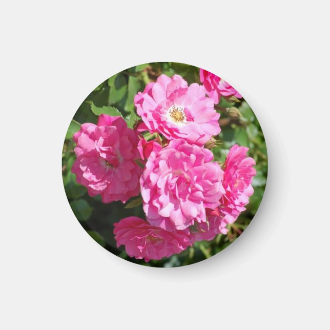 Imã rosa_rosa (Frente)