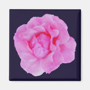 Imã rosa rosa