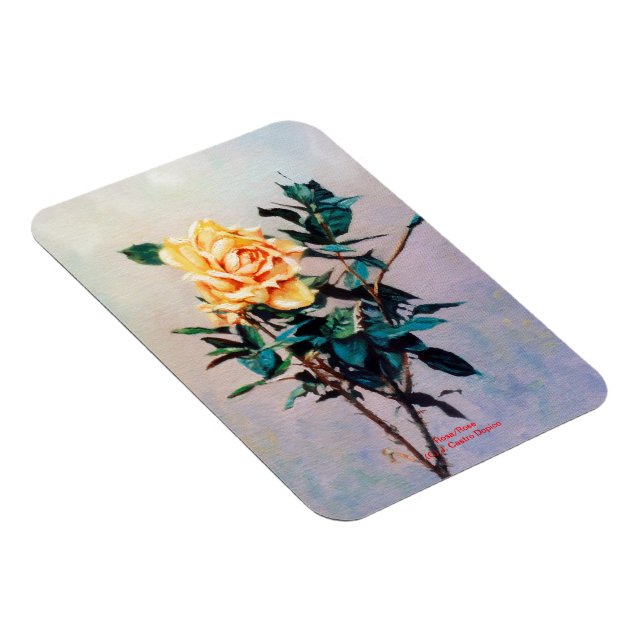 Ímã Rosa/Rosa (Lado Direito)