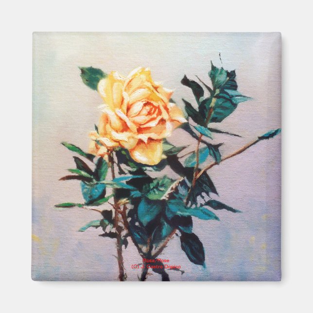 Imã Rosa/Rosa (Frente)