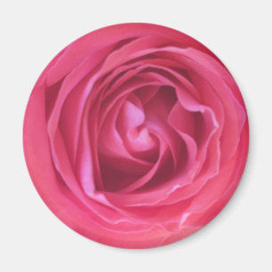 Imã Rosa Rosa Bonita