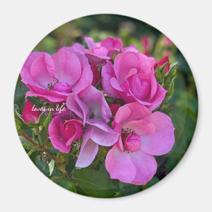 Imã Rosa Rosa Lavanda