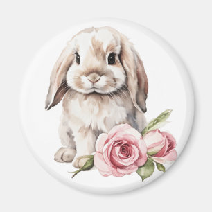 Imã Rosa Rosa Lop Olhou Coelho Olhado