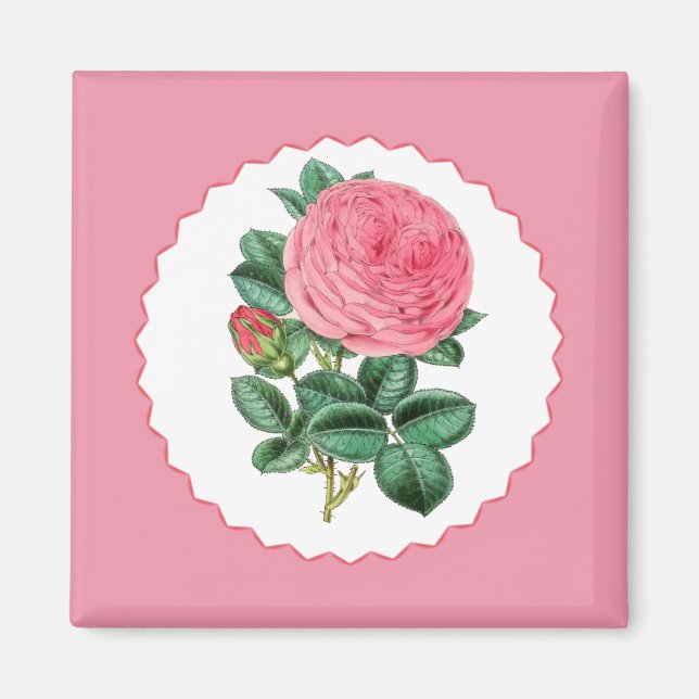 Imã Rosa Rosa Rosa (Frente)