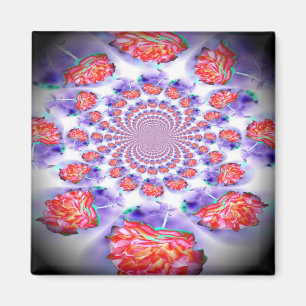 Imã Rosa Rosa Rosa Invertida