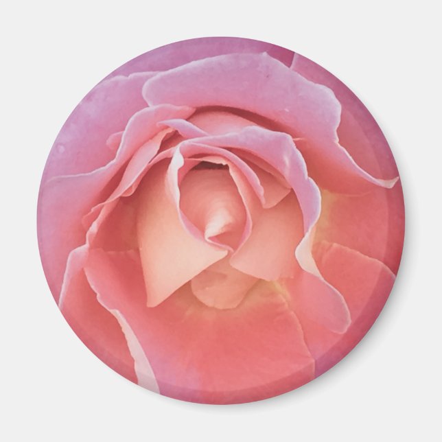 Imã Rosa Rosa Rosa Lusciosa (Frente)