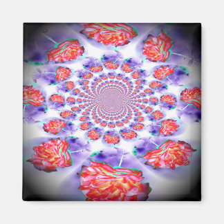 Imã Rosa Rosa Rosa Rosa Invertida