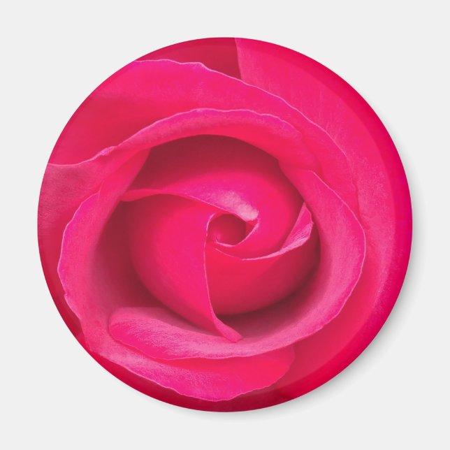 Imã Rosa Rosa Vermelha Romântica (Frente)