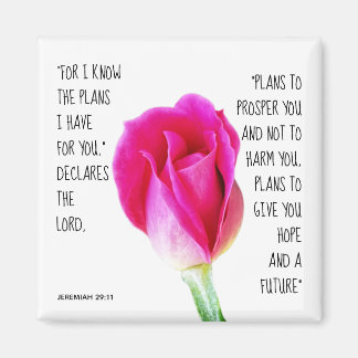 Imã Rosa rosa, verso de Jeremiah 29:11
