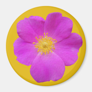 Imã Rosa selvagem 2