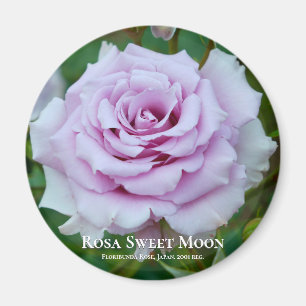 Imã Rosa Sweet Moon
