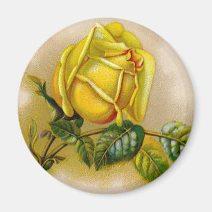 Imã Rosa Trabalho de arte Impressão de Belas Arte Ama