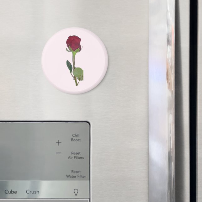Imã Rosa vermelha (In Situ (Fridge))