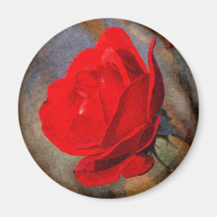 Imã Rosa Vermelha