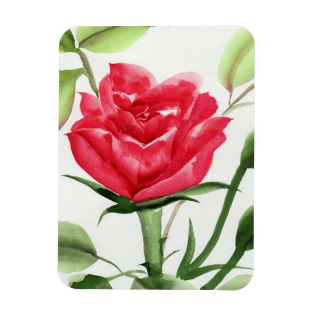 Ímã Rosa vermelha (Vertical)
