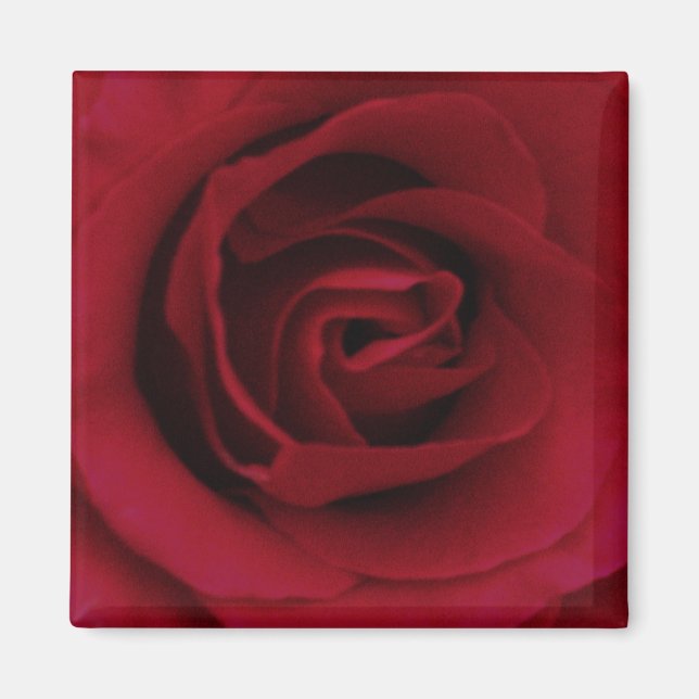 Imã Rosa vermelha (Frente)