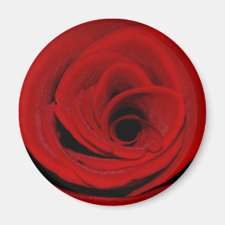 Imã Rosa vermelha