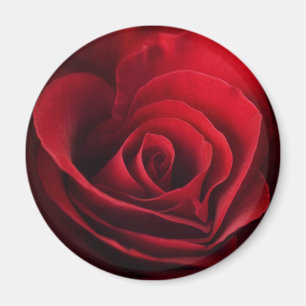 Imã Rosa vermelha dos namorados